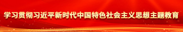 大屄操鸡巴学习贯彻习近平新时代中国特色社会主义思想主题教育